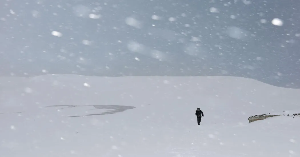 At Least 30 Dead After Weeks of Heavy Snowfall in Japan