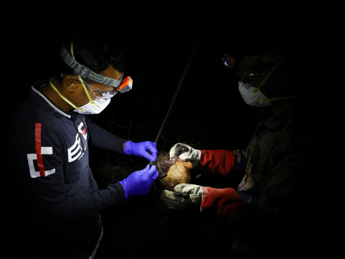 WHO says fatal case of Nipah virus confirmed in Bangladesh